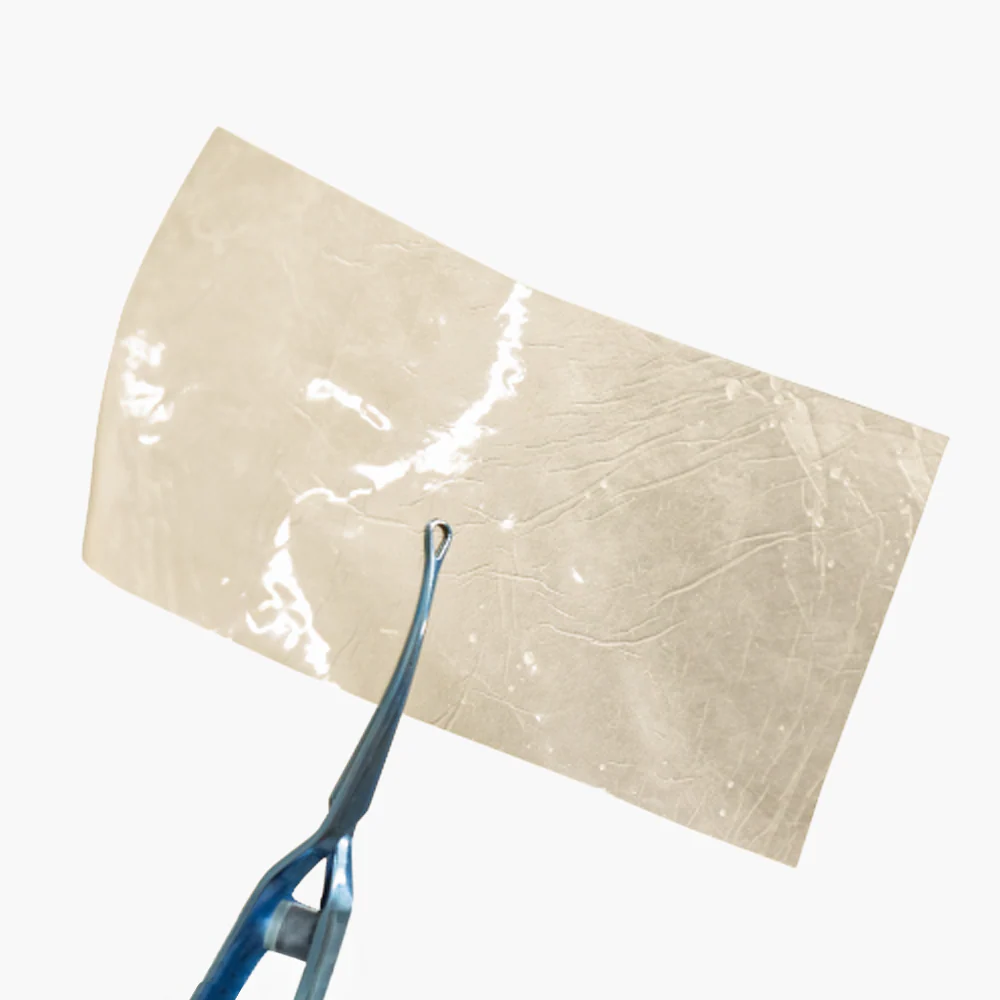 Amnion Graft Booster-Chorion Sheet