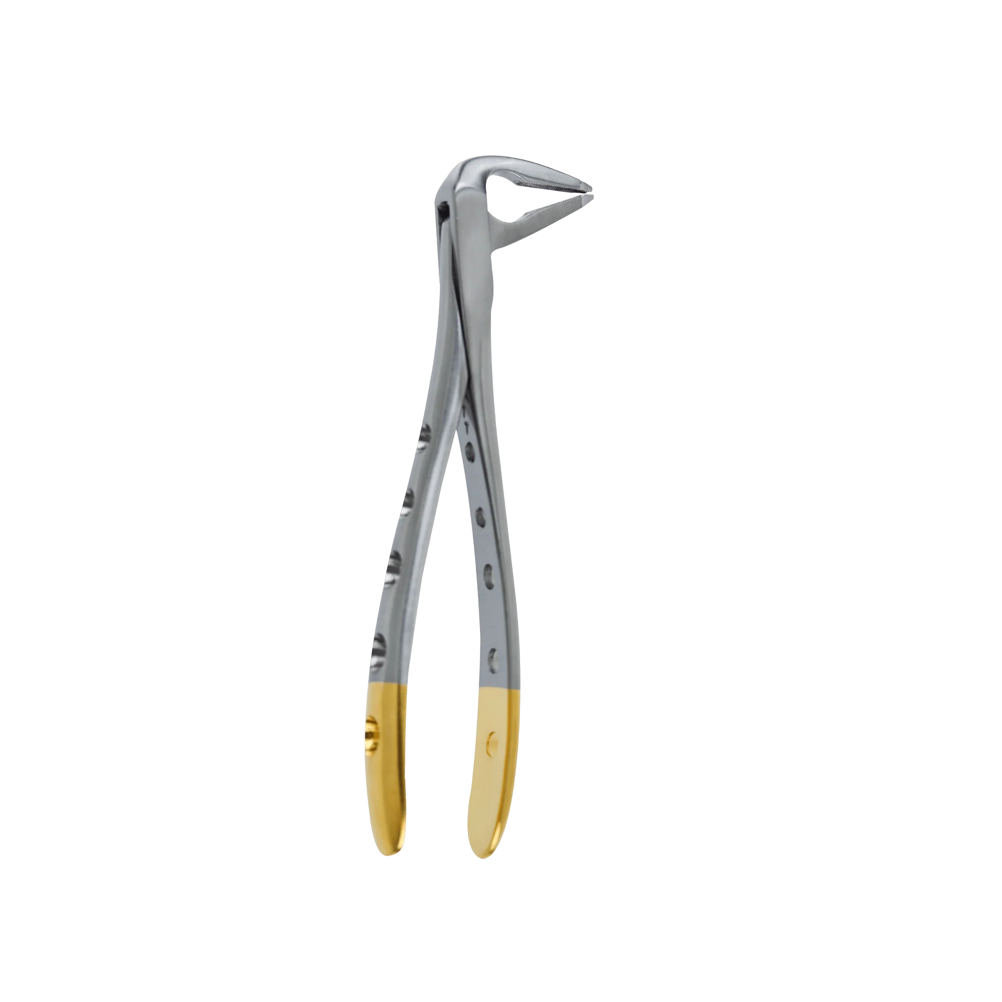 Atraumatic Extraction Apical Retention Forcep-Lower Anterior - Image 6