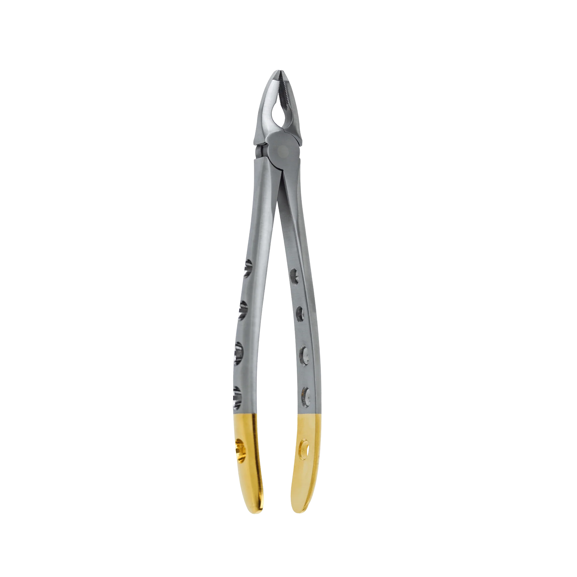Atraumatic Extraction Apical Retention Forcep-Upper Anterior - Image 4