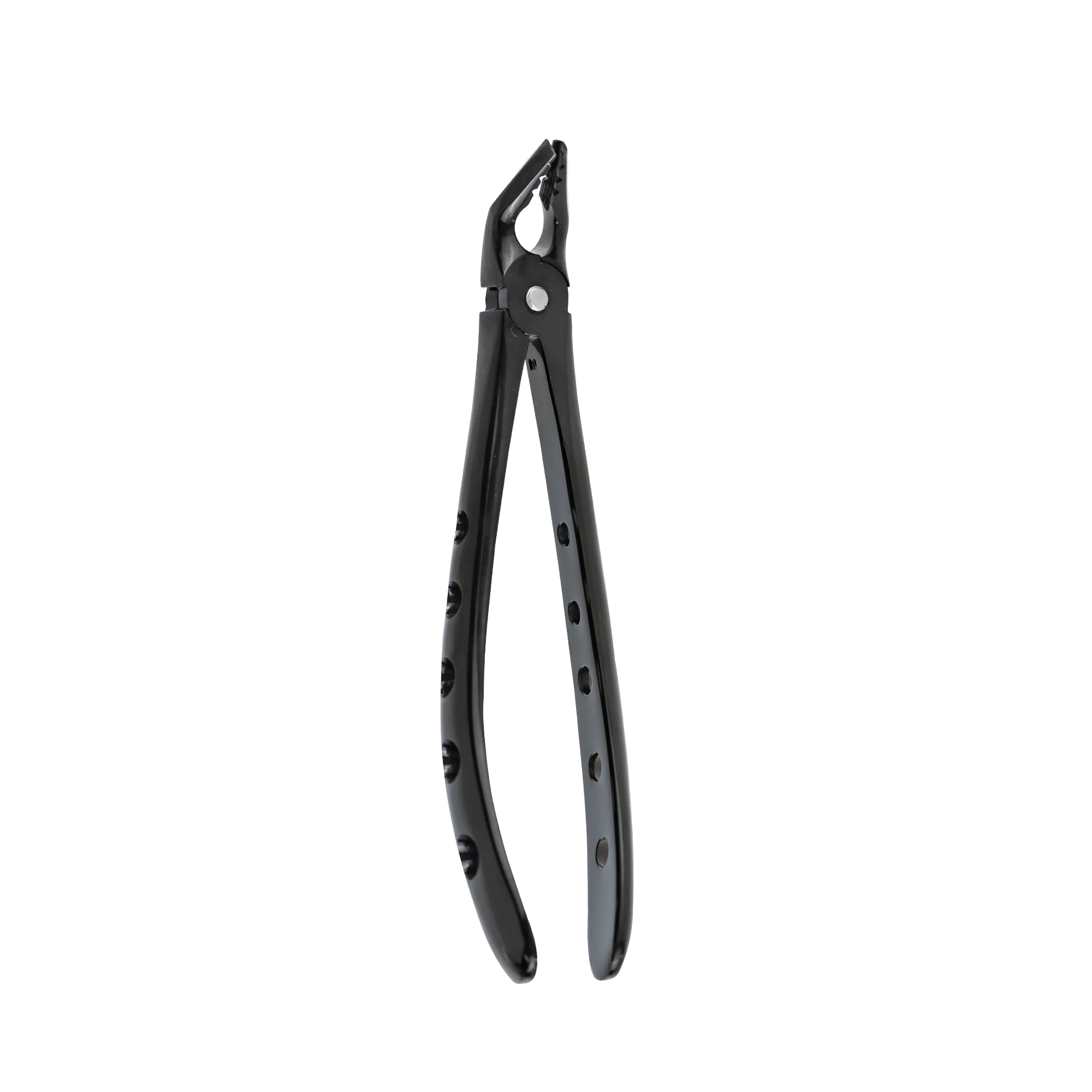 Atraumatic Extraction Black Titanium Apical Retention Forceps-Lower Universal Premolars Serrated - Image 3