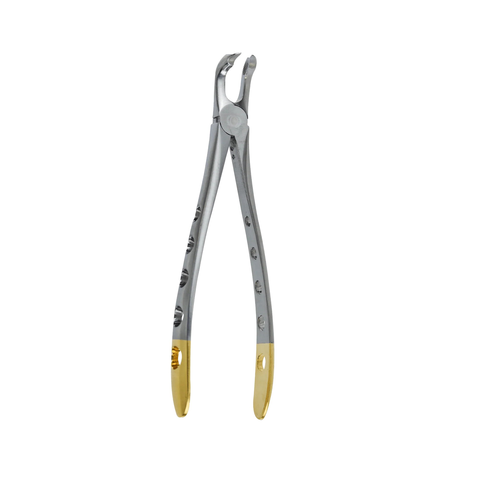 Atraumatic Extraction Forcep-Lower Molar Modifed Cow Horn Beak