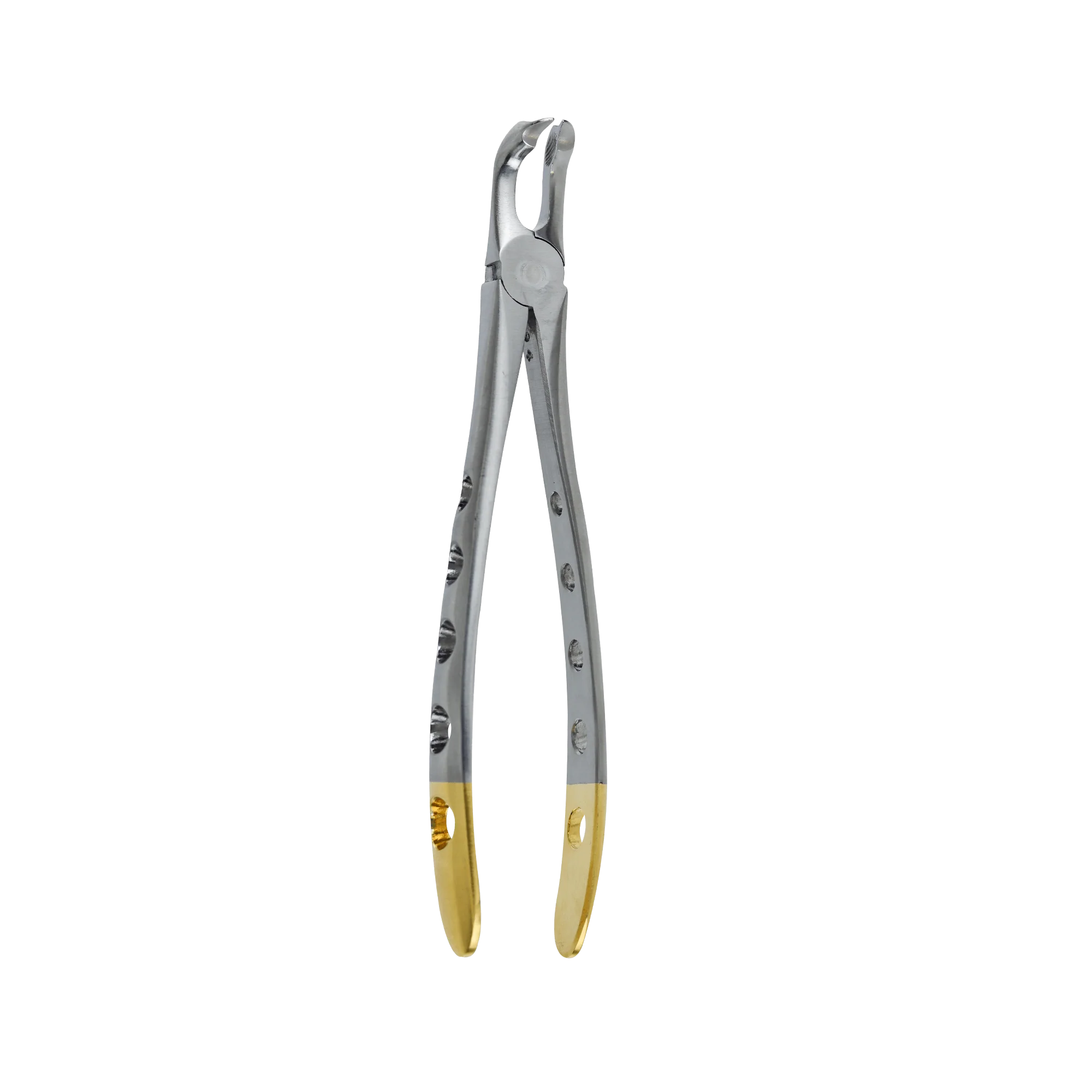 Atraumatic Extraction Forcep-Lower Molar Modifed Cow Horn Beak - Image 3