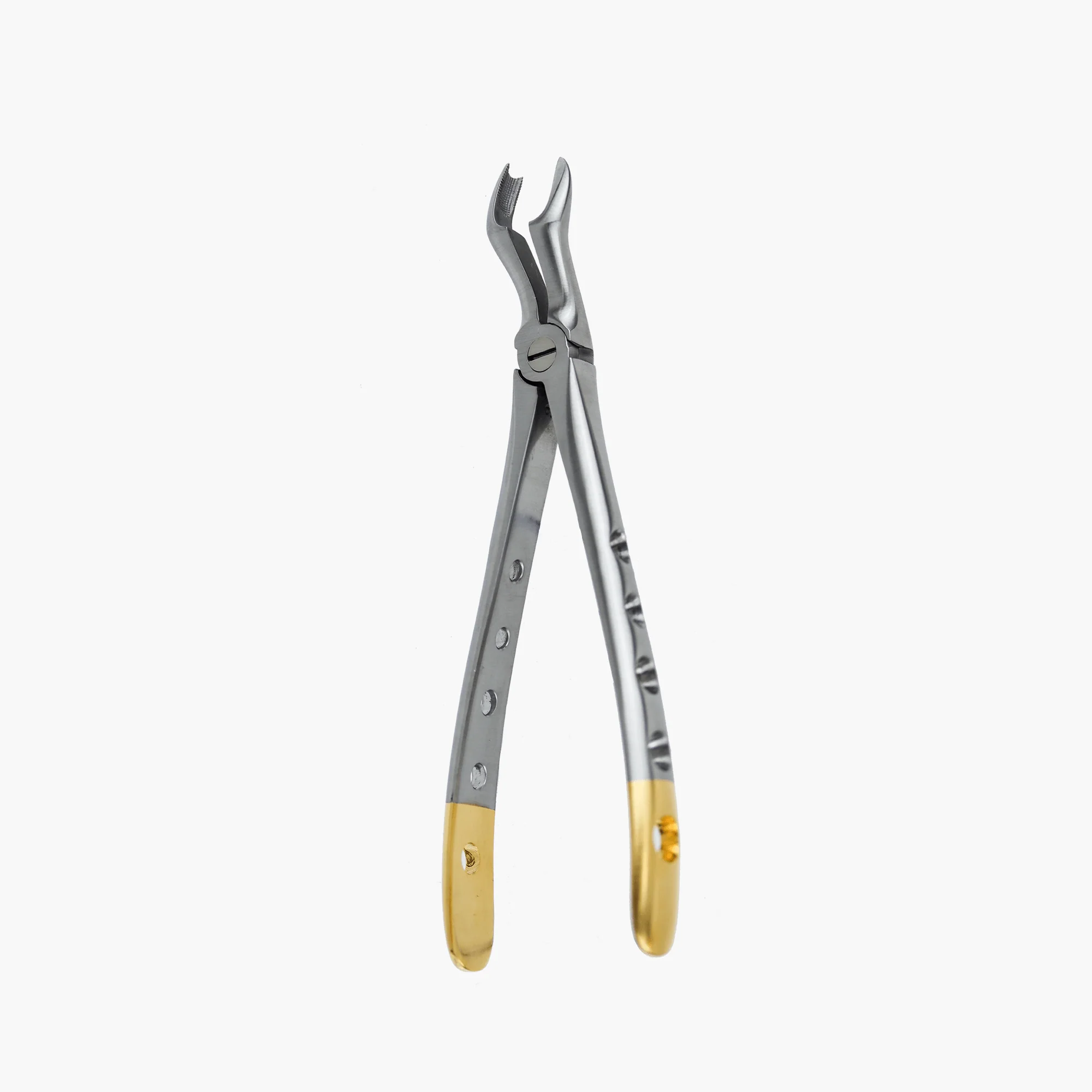 Dental Extraction Forceps F-11 Upper Molar Left - Image 5