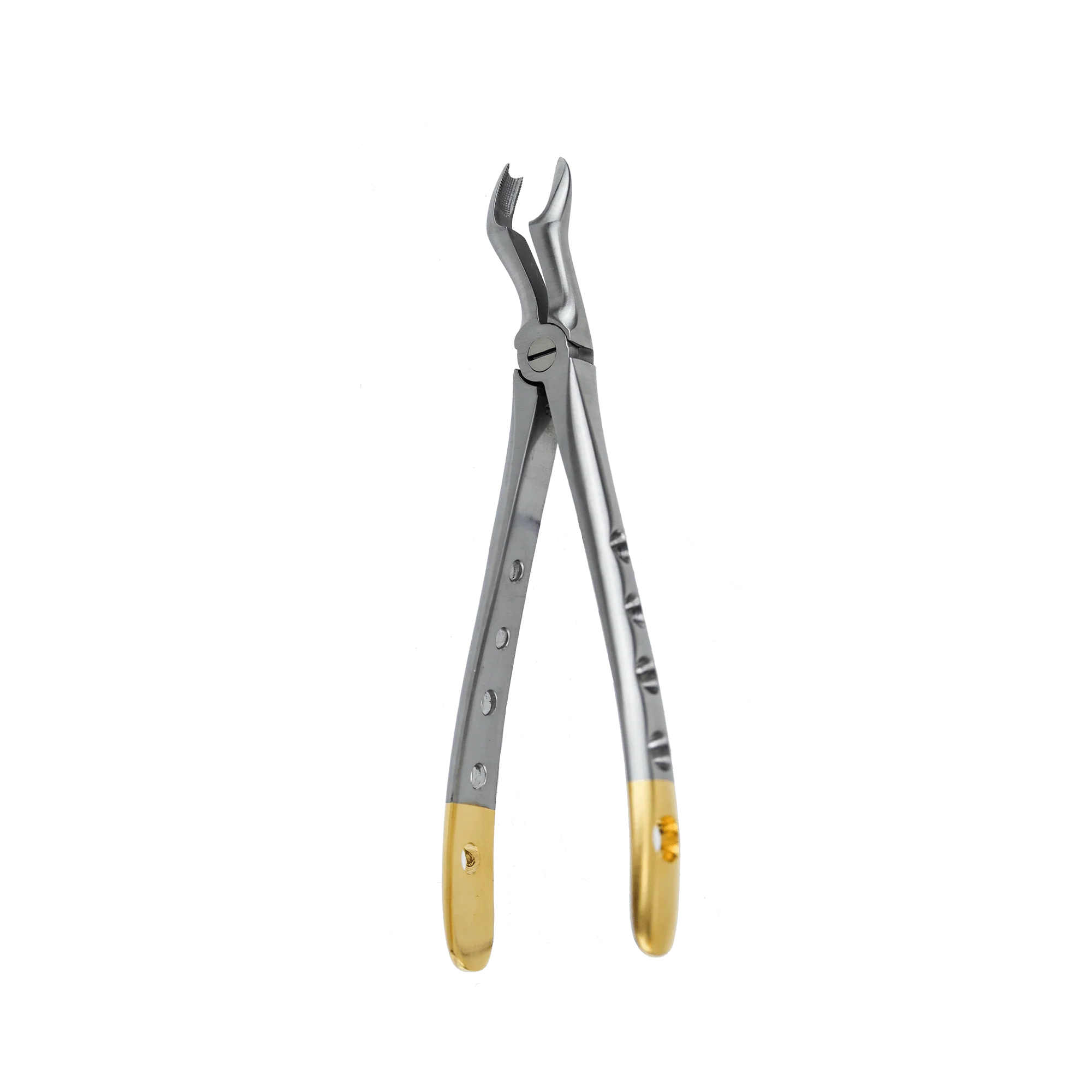 Dental Extraction Forceps F-11 Upper Molar Left - Image 6