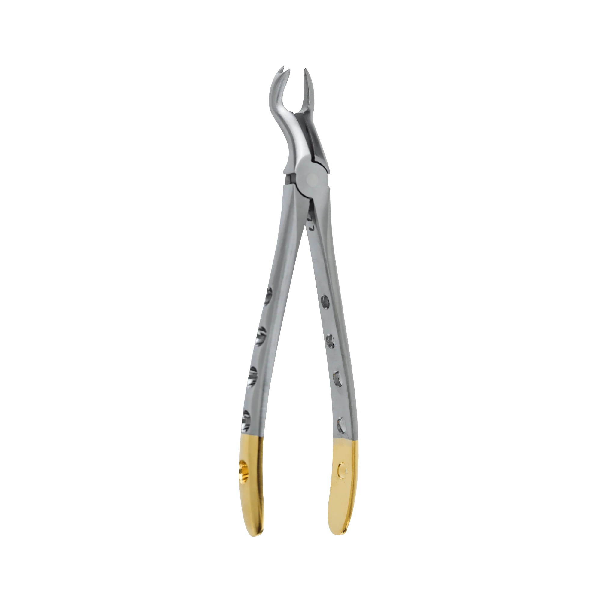 Dental Extraction Forceps F-12 Upper Molar Right - Image 3