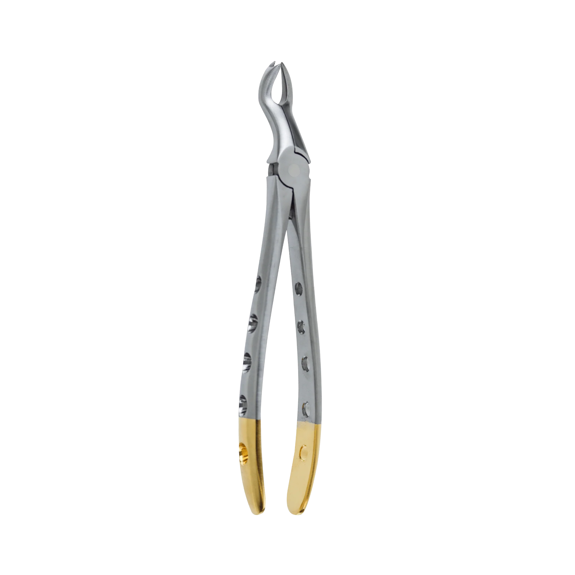 Dental Extraction Forceps F-12 Upper Molar Right - Image 4