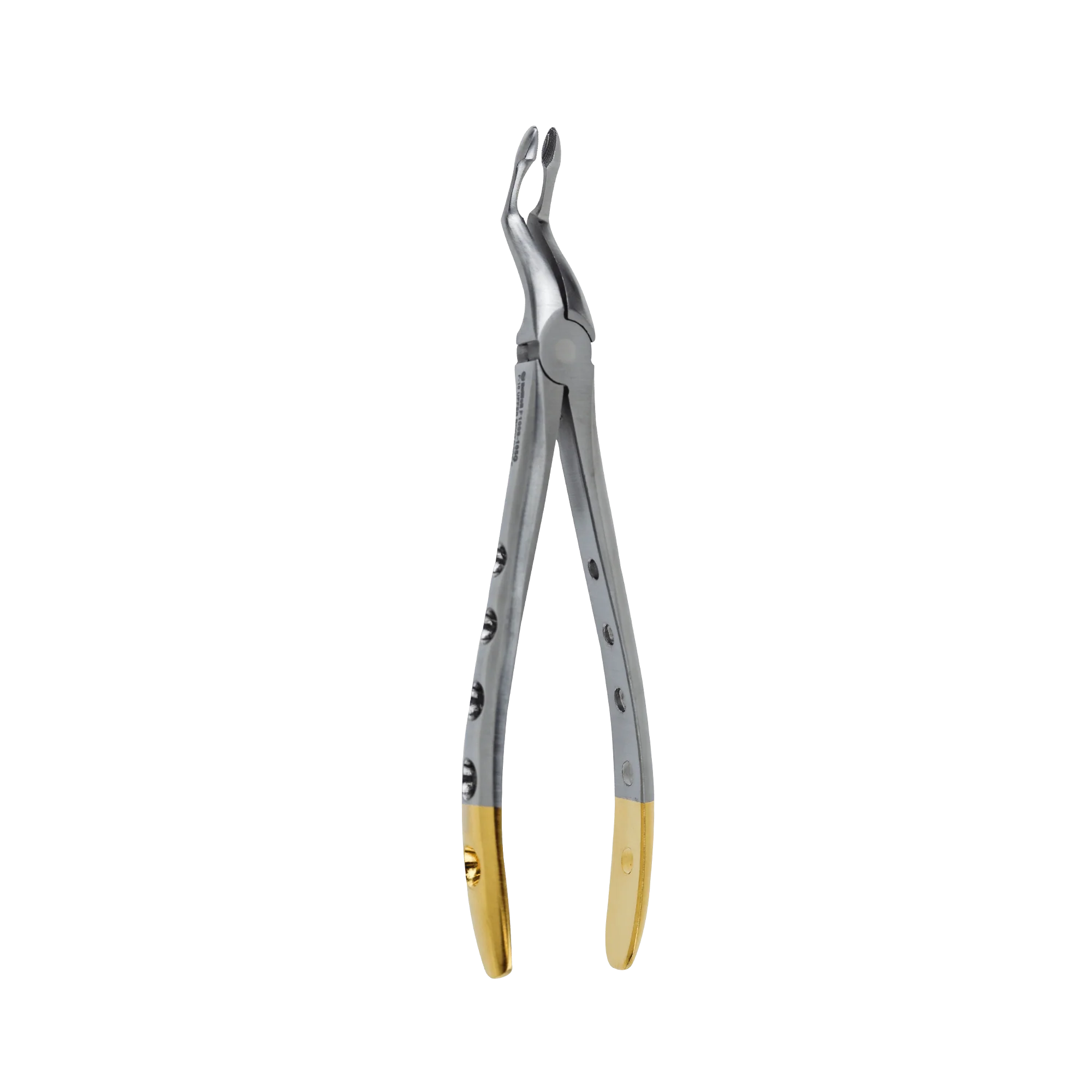 Dental Extraction Forceps F-16 Upper Root - Image 3