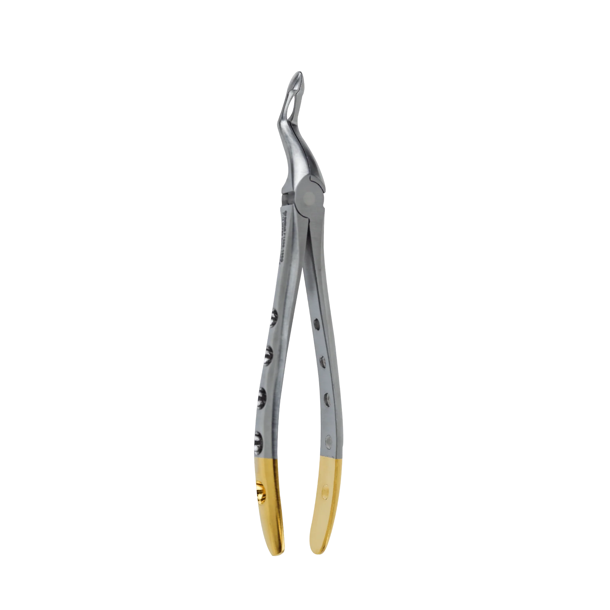 Dental Extraction Forceps F-16 Upper Root - Image 4
