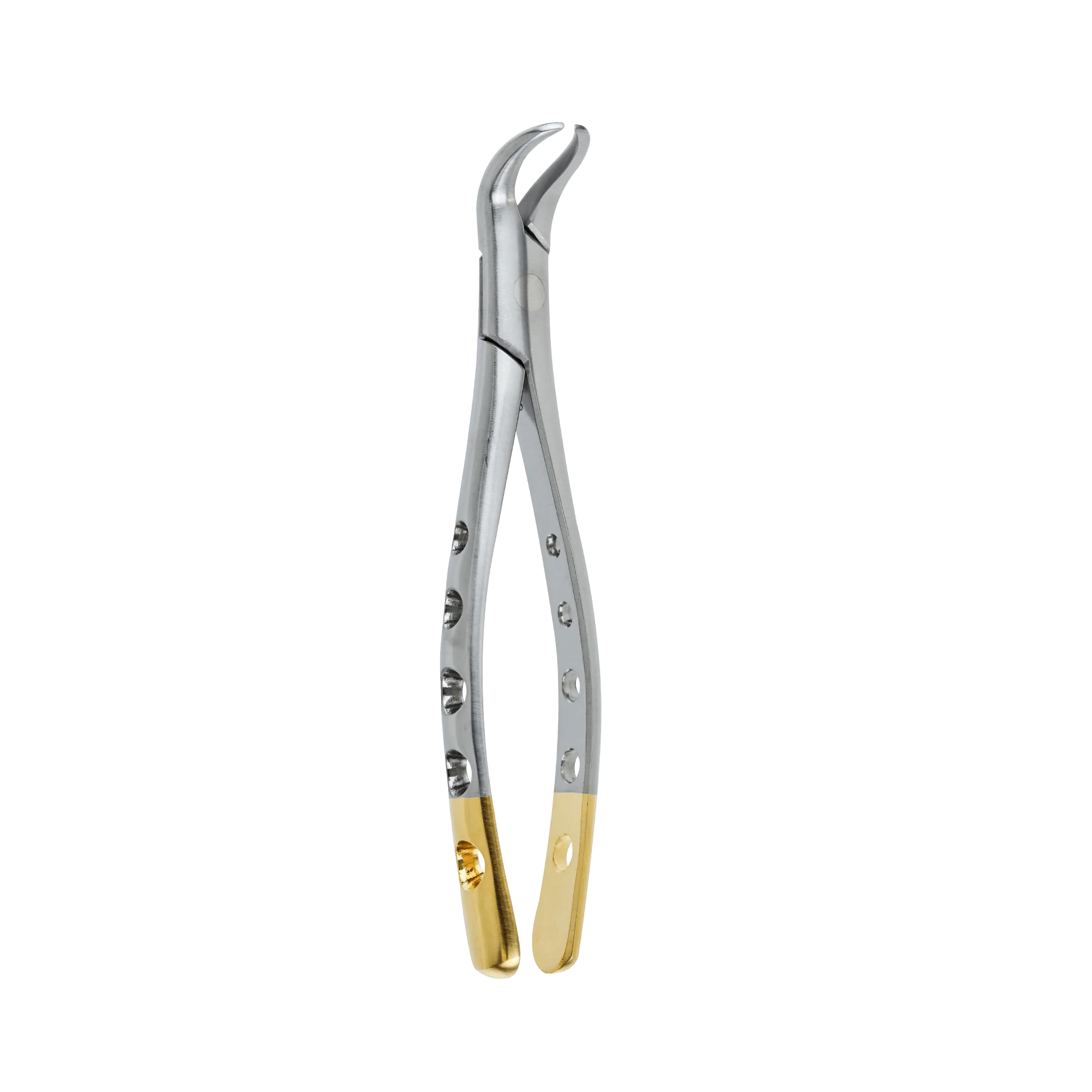 Dental Extraction Forceps F-23 Lower Molars Cow-Horn Beak - Image 4
