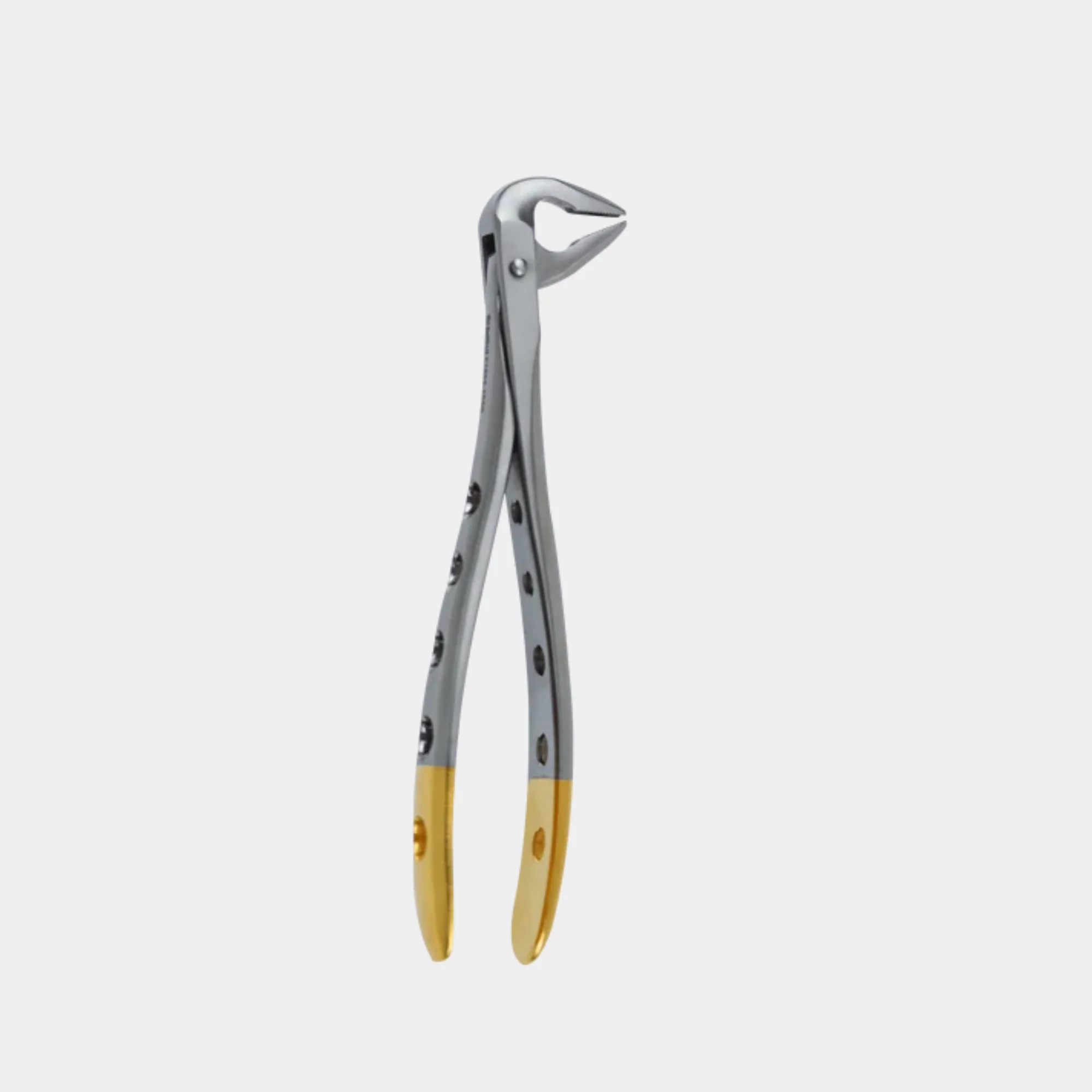Dental Extraction Forceps F-5 Lower Anterior - Image 3
