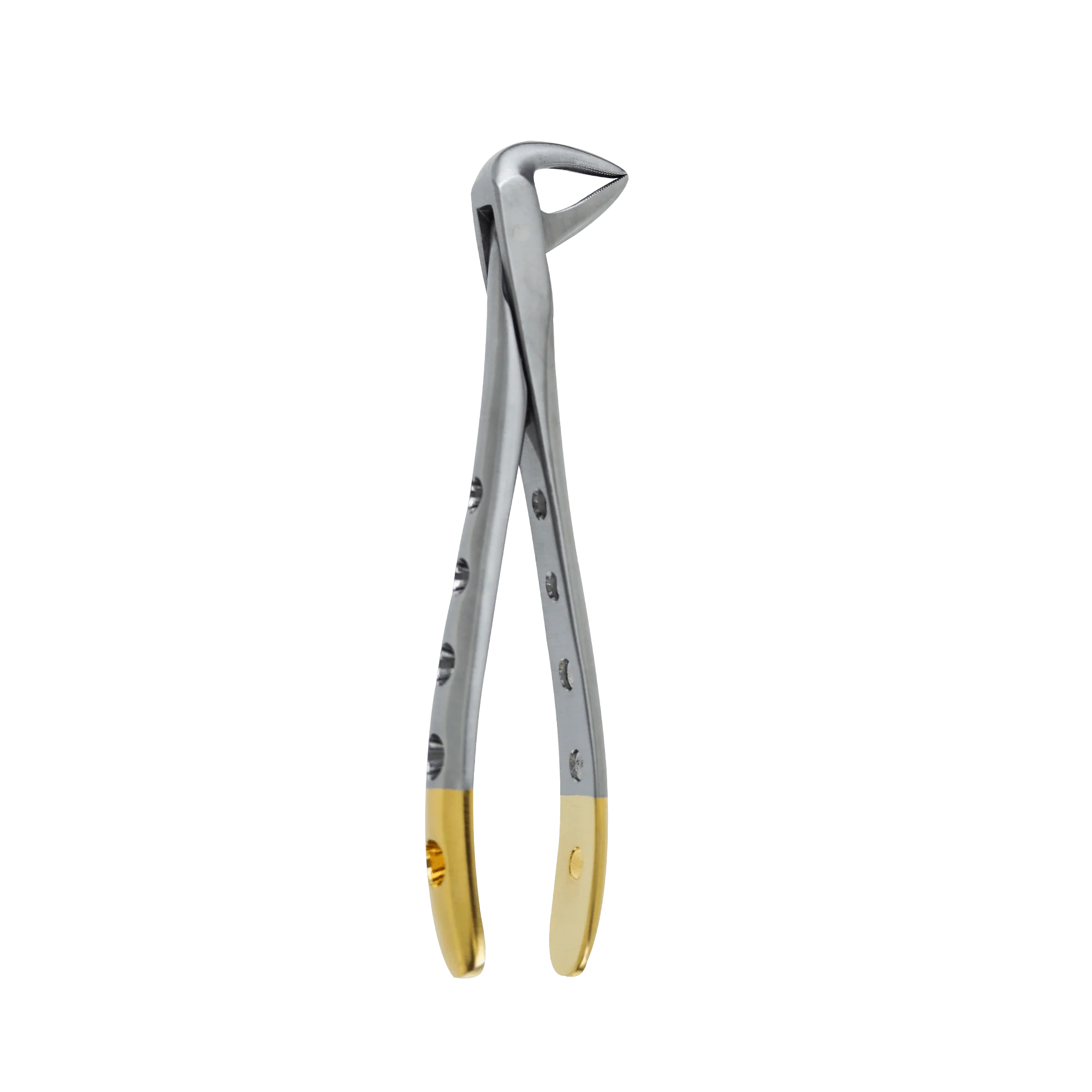 Dental Extraction Forceps F-74NF Lower Incisors and Roots - Image 3