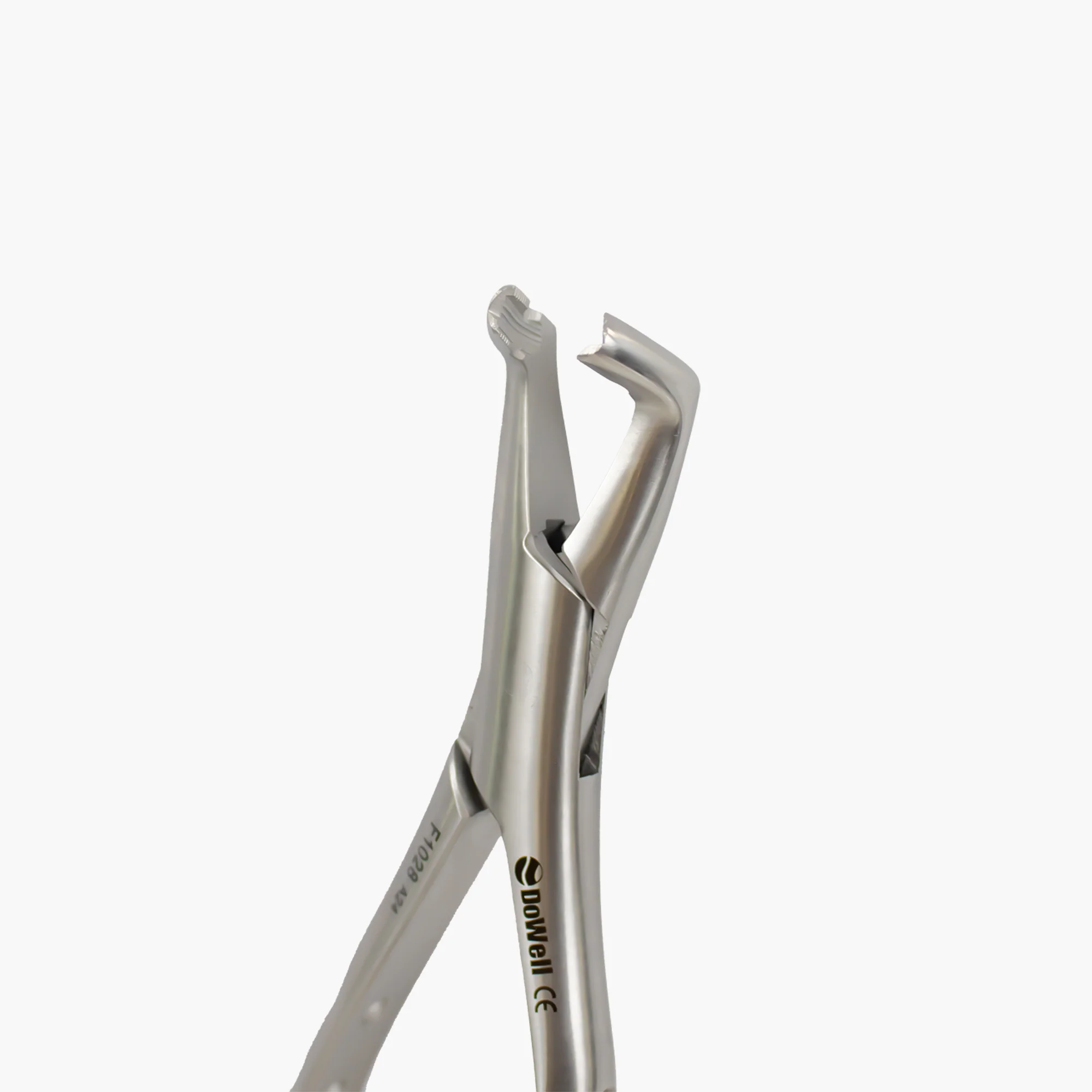Lower 3rd Molars Forceps - Image 2