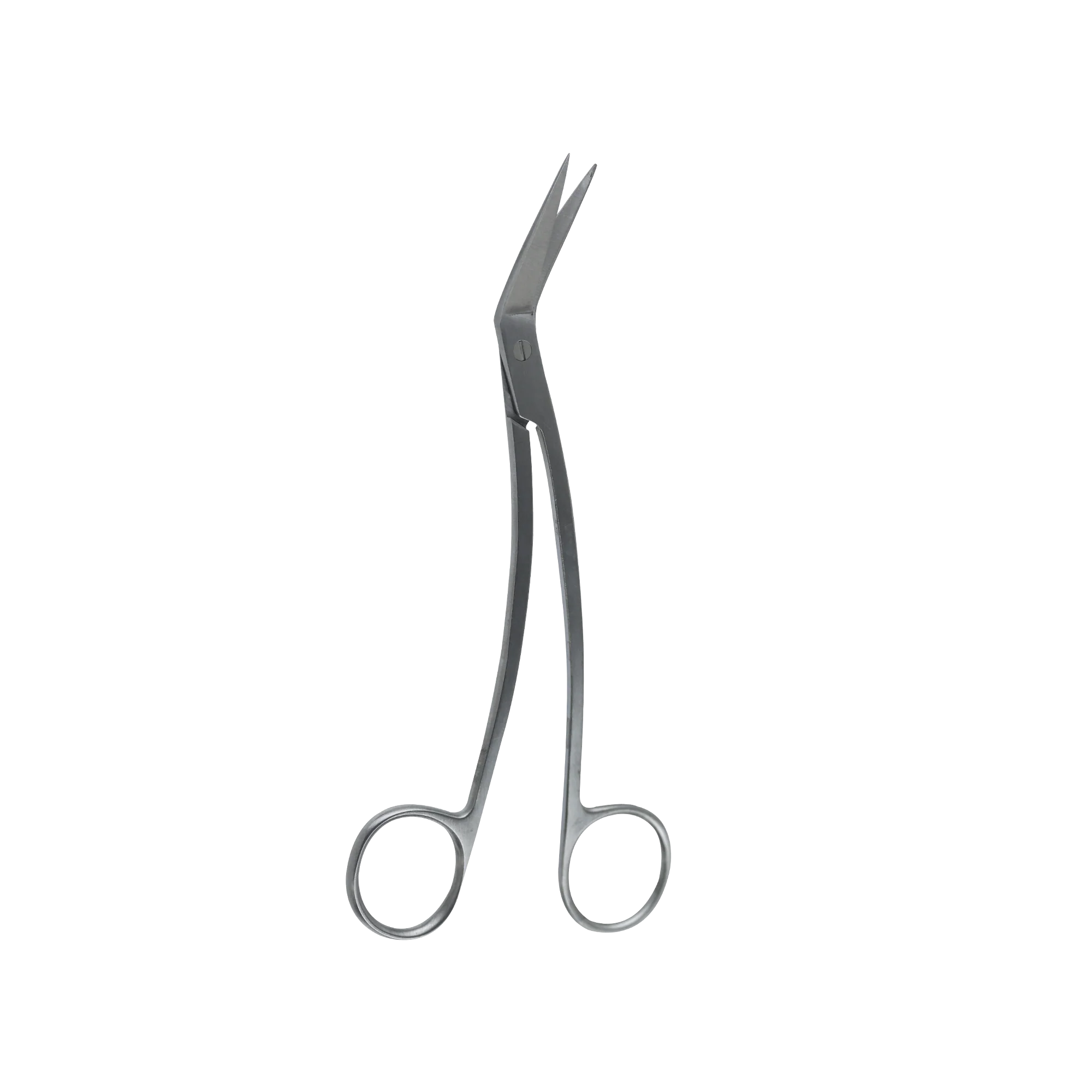 Surgical Gum Tissue Scissors- Locklin Scissor 16.5Cm - Image 4