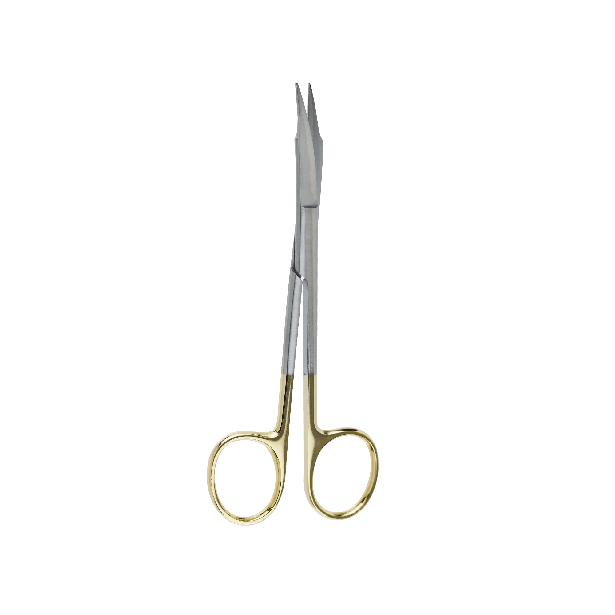Surgical Gum Tissue Scissors Serrated T/C tips Goldman Fox scissors Curved 13Cm - Image 2